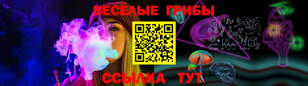 Ногинск  Псилоцибиновые грибы ЛСД  Псилоцибиновые грибы MAGIC MUSHROOMS  где купить наркотик  Вход с VPN 